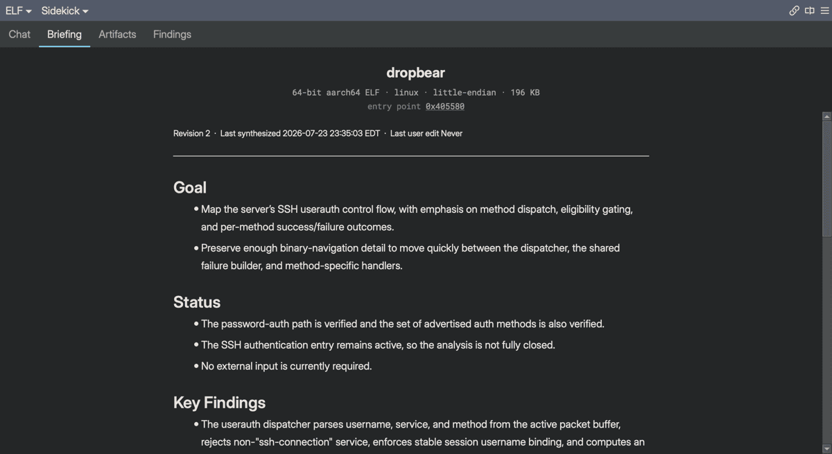The Briefing tab with the binary-context summary above the rendered session briefing, showing the Goal, Status, and Key Findings sections