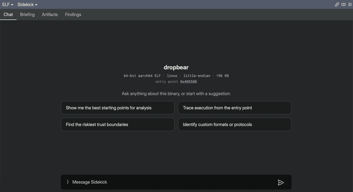 The Sidekick view on a freshly opened binary, showing the binary summary and suggested starting points